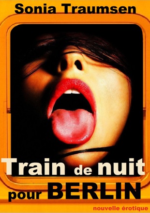 lecture Train de nuit pour Berlin